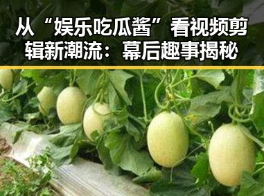 从“娱乐吃瓜酱”看视频剪辑新潮流:幕后趣事揭秘