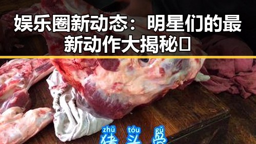 娱乐圈新动态:明星们的最新动作大揭秘✨