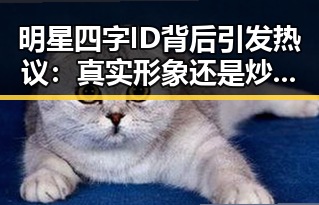 明星四字ID背后引发热议:真实形象还是炒作噱头?